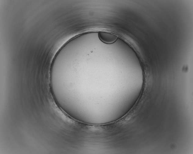 X0000111350852200907241156