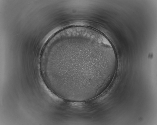 X0000111350853200907241156