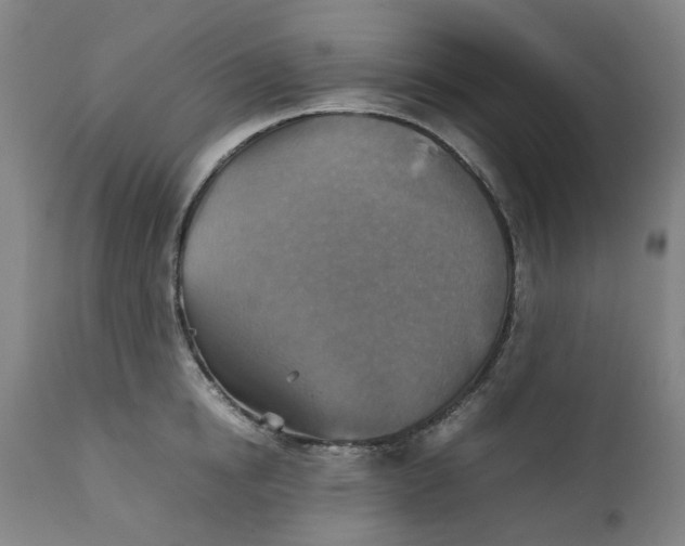 X0000111350854200907241156