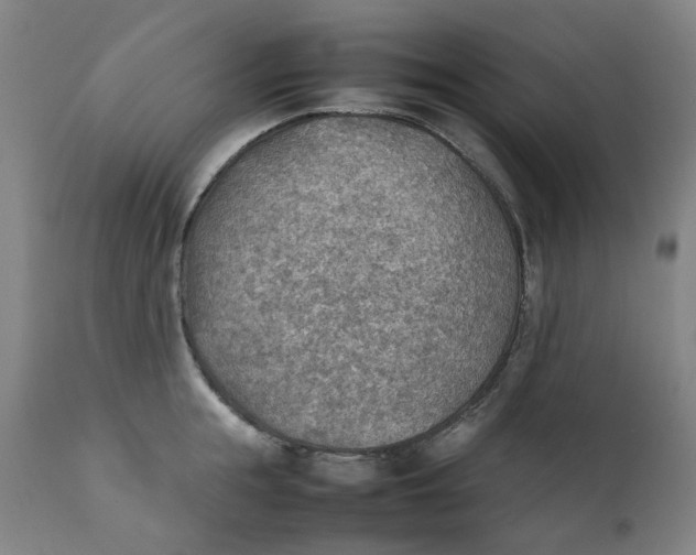 X0000111350855200907241156