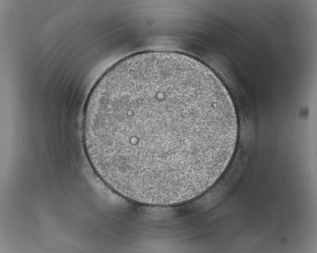 X0000111350856200907241156