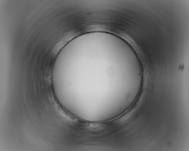 X0000111350857200907241156