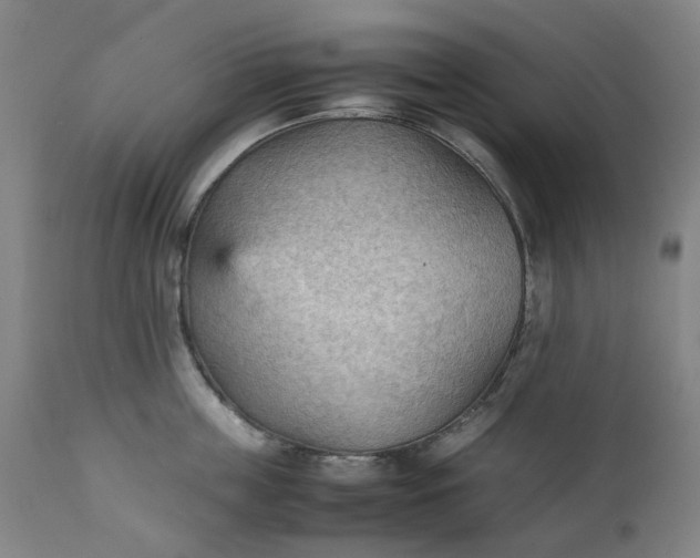 X0000111350859200907241157