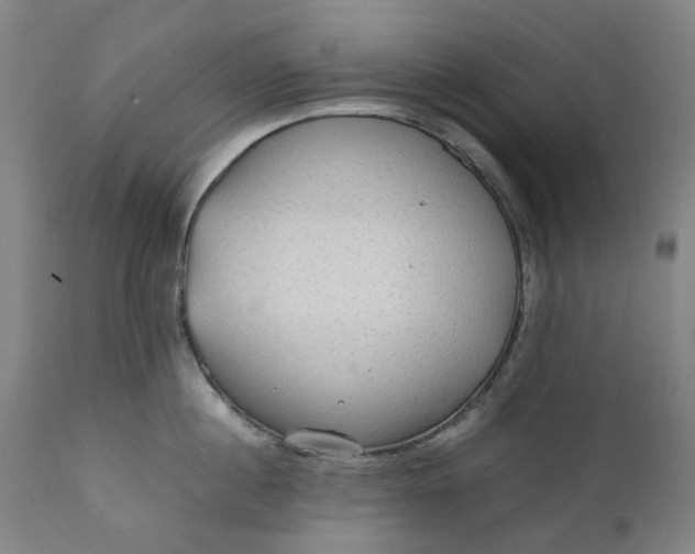 X0000111350860200907241157