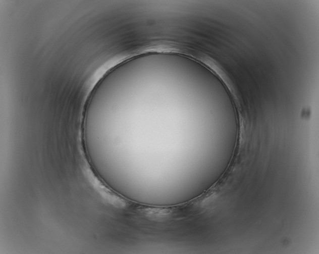 X0000111350861200907241157