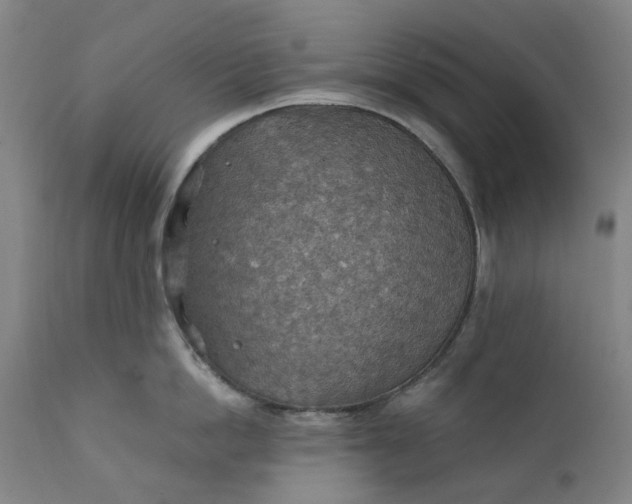 X0000111350862200907241157