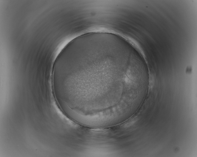 X0000111350863200907241157