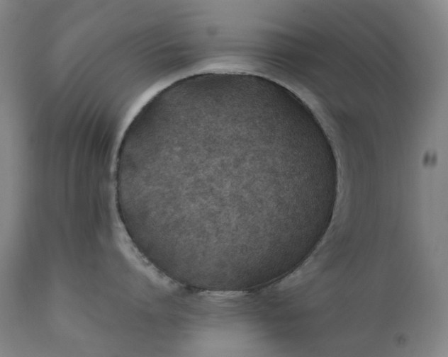 X0000111350864200907241157