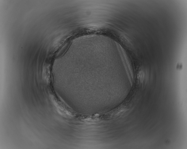 X0000111350868200907241156