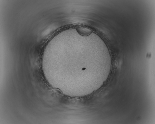 X0000111350869200907241156