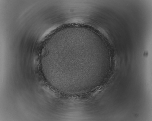 X0000111350872200907241156