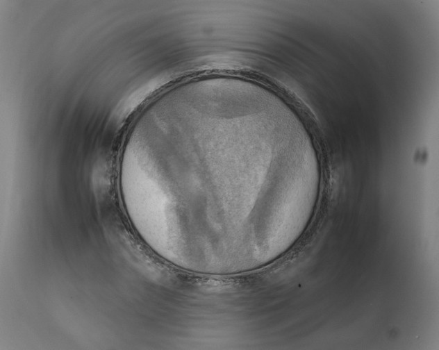 X0000111350874200907241156