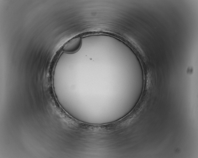 X0000111350876200907241156