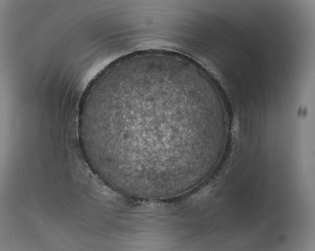 X0000111350877200907241156