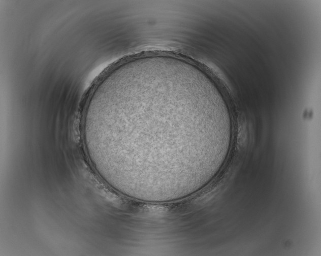 X0000111350878200907241156