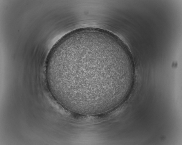 X0000111350879200907241156