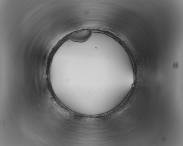 X0000111350880200907241156