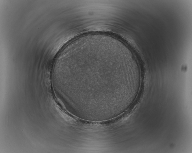 X0000111350881200907241156