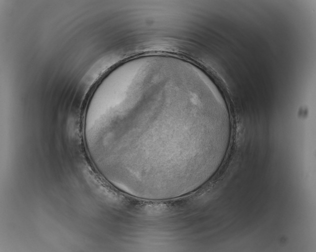 X0000111350882200907241156