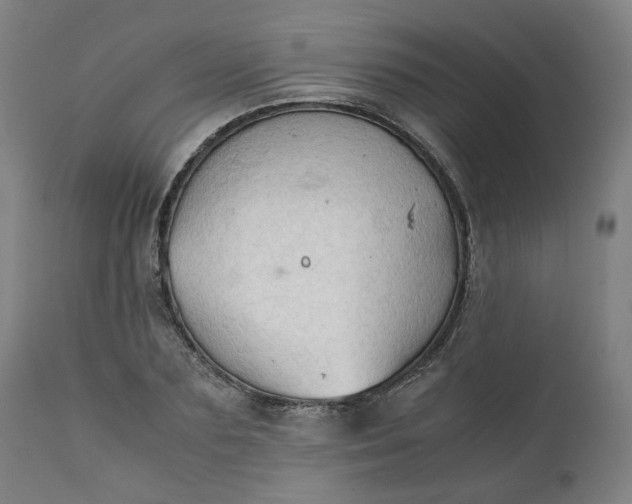 X0000111350883200907241156