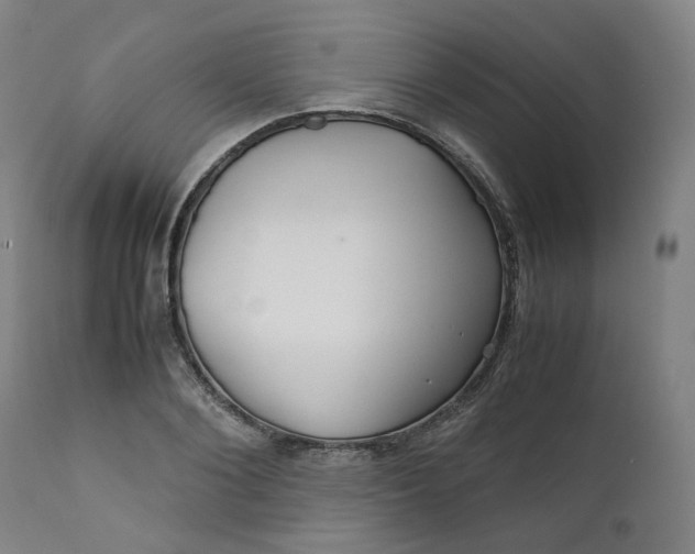 X0000111350884200907241156