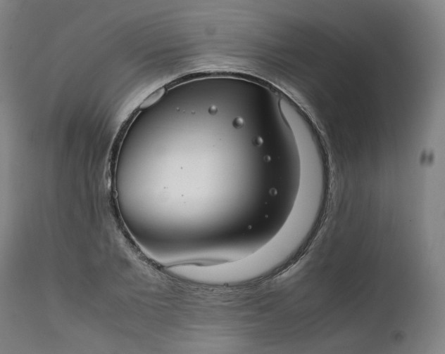 X0000111350885200907241156