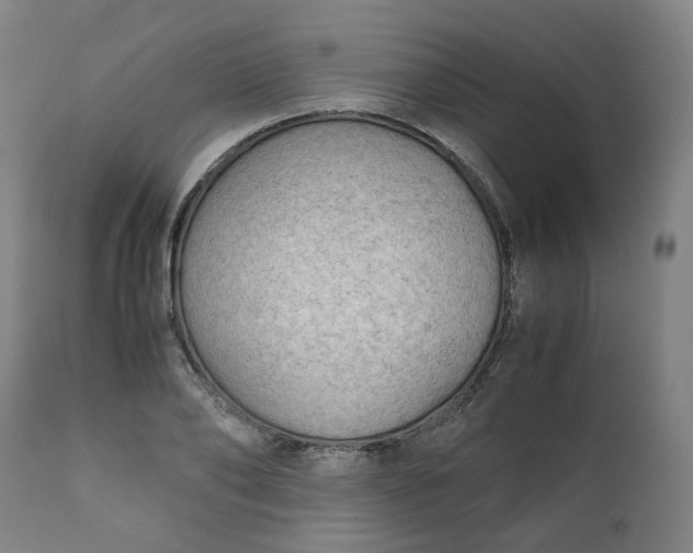 X0000111350886200907241156