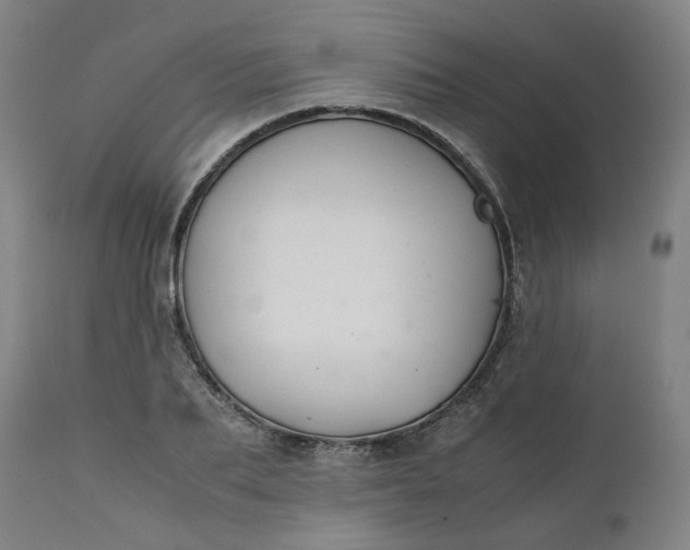 X0000111350887200907241156