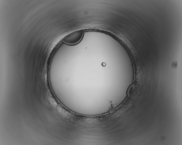 X0000111350888200907241156