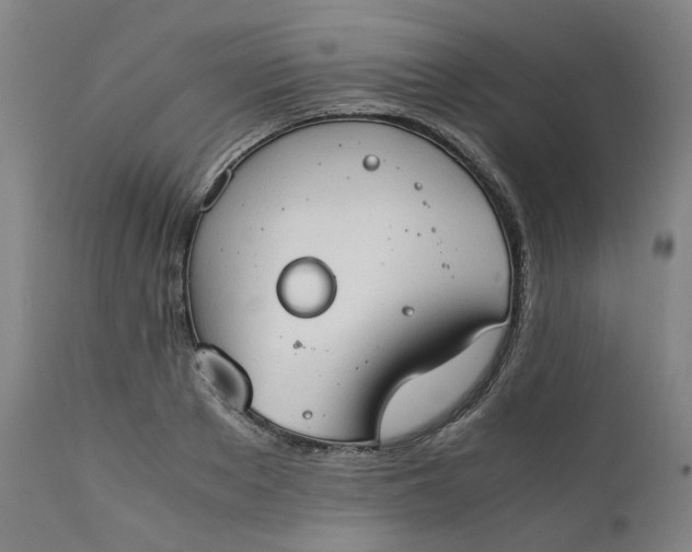 X0000111350889200907241156