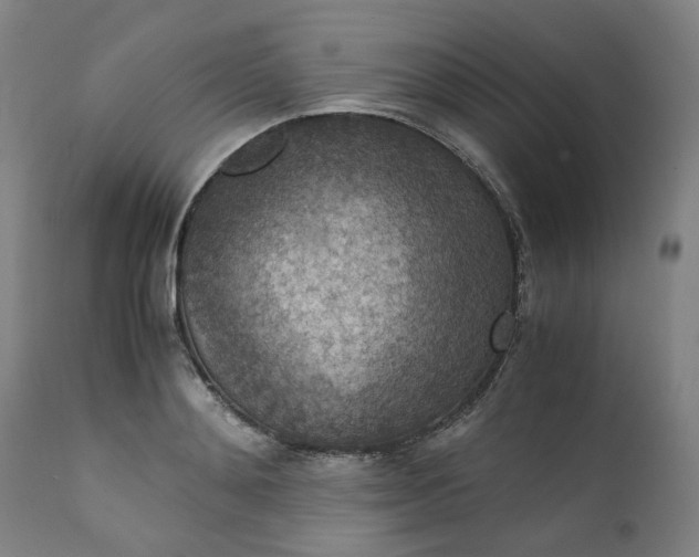 X0000111350892200907241156