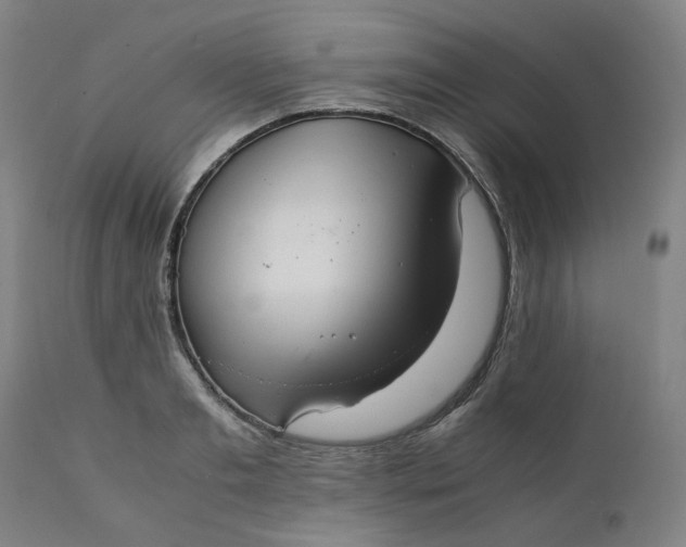 X0000111350893200907241156