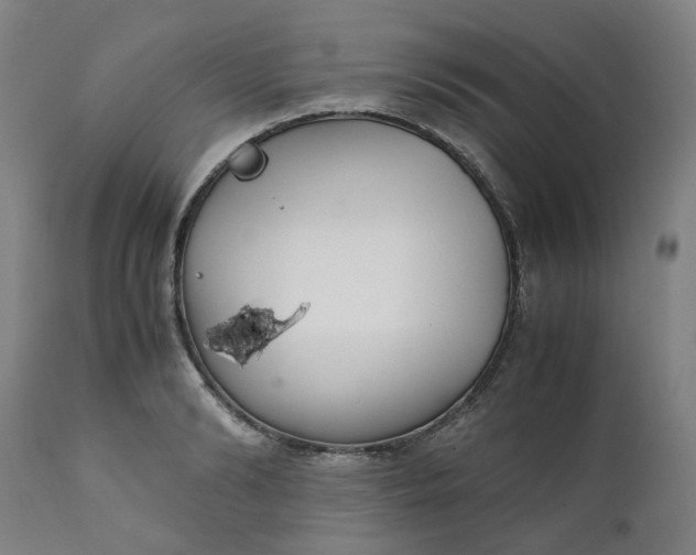 X0000111350894200907241156