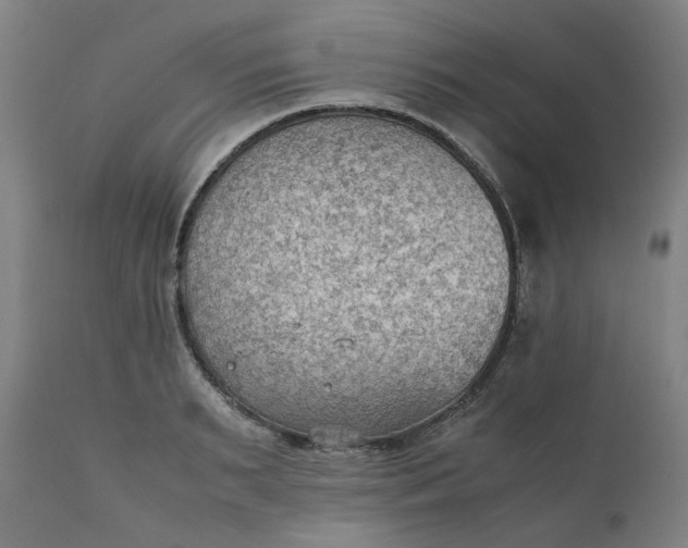 X0000111350895200907241155