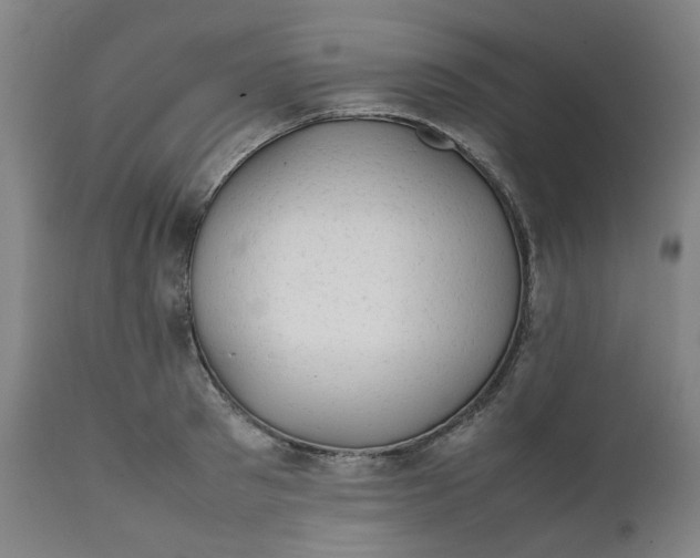 X0000111350897200907241155