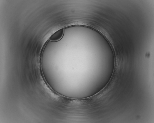 X0000111350898200907241155