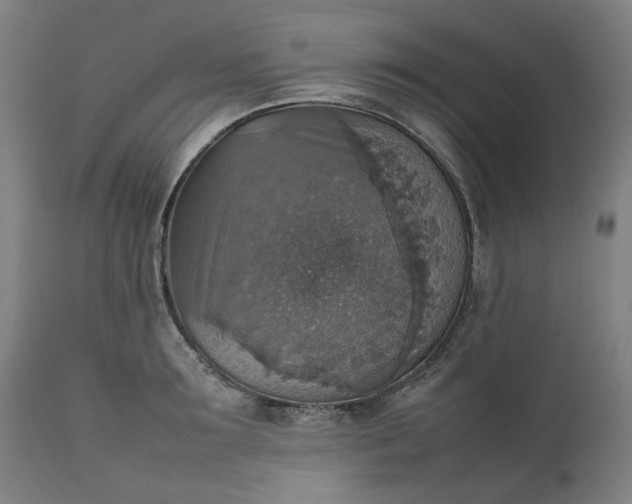 X0000111350899200907241155