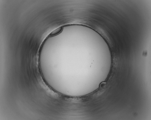 X0000111350900200907241155