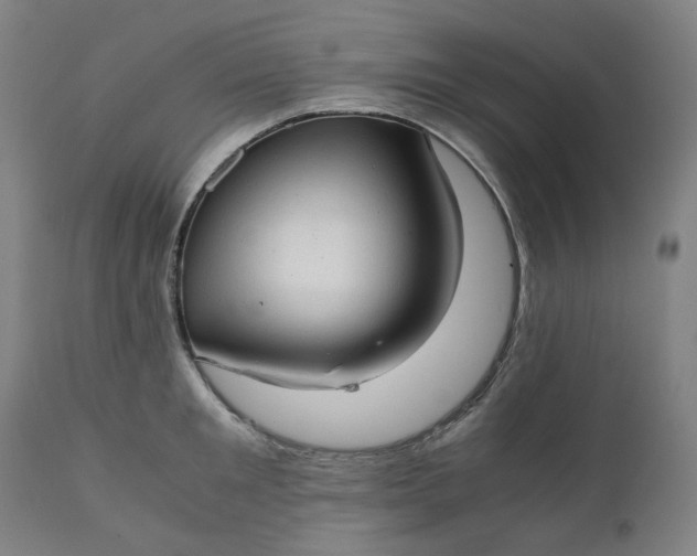 X0000111350901200907241155