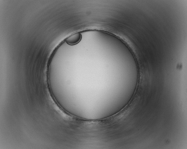 X0000111350902200907241155