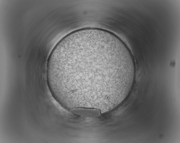 X0000111350903200907241155