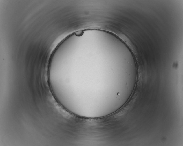 X0000111350904200907241155