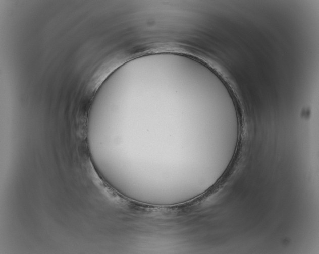 X0000111350905200907241155