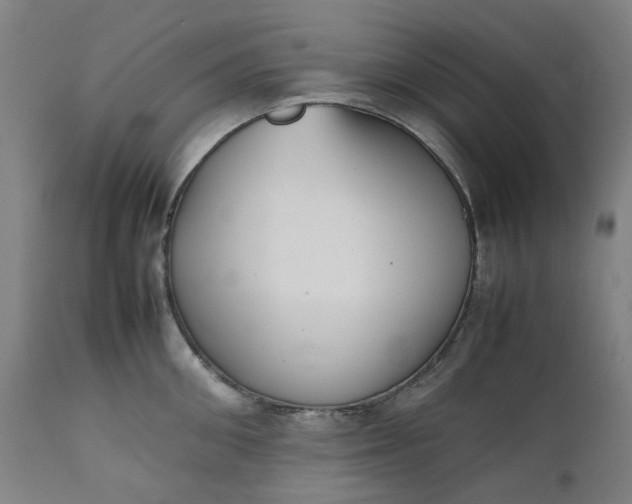 X0000111350906200907241155