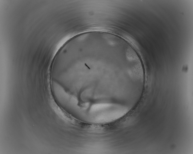 X0000111350907200907241155