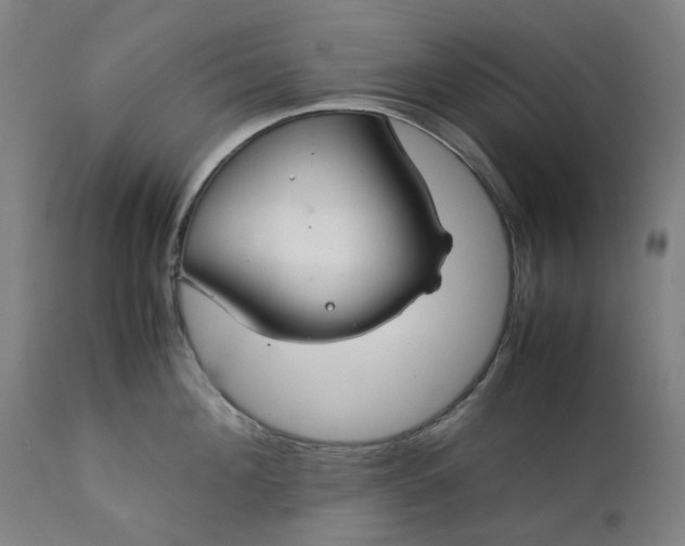 X0000111350908200907241155