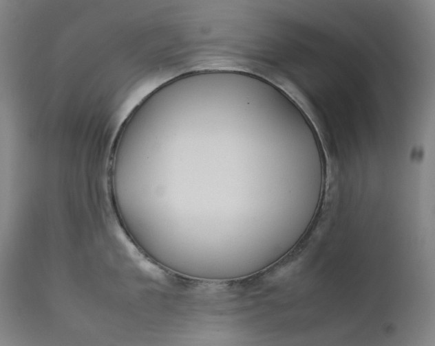 X0000111350909200907241155