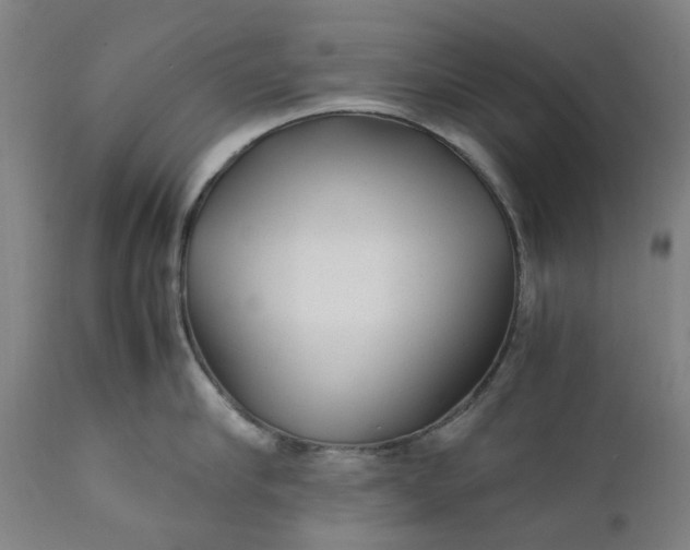 X0000111350910200907241155