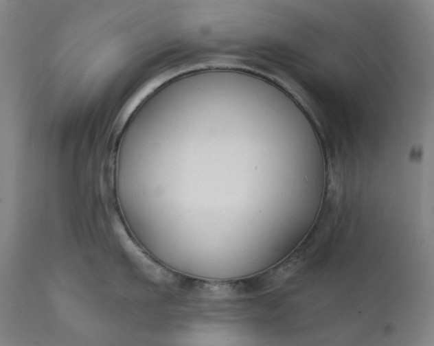 X0000111350911200907241155