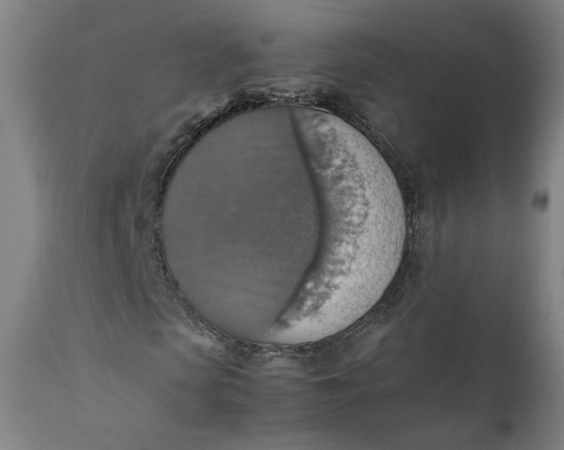 X0000111350913200907241154